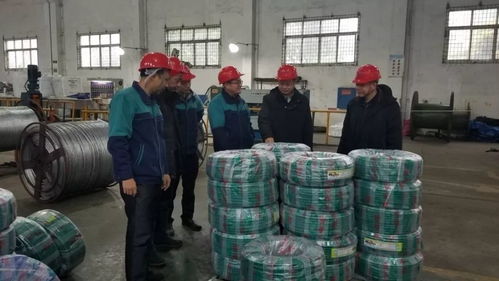 暖心回訪服務,優化營商環境 柳州市產品質量安全檢驗所到企業進行技術指導