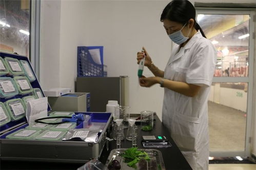 精誠致遠(yuǎn)檢測技術(shù)服務(wù) 圖 農(nóng)殘檢測報(bào)告 博羅檢測報(bào)告