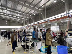 電動車行業(yè)首家獨(dú)資海外工廠成立,雅迪助推中國制造走向世界