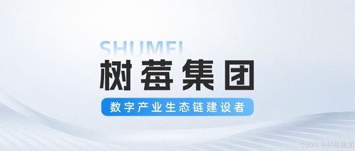 從ai到大數(shù)據(jù),數(shù)字技術(shù)服務(wù)平臺(tái)全棧賦能企業(yè)升級(jí)